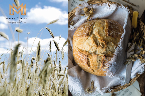 kolaż dwóch zdjęć - na pierwszym z nich (po lewej) zdjęcie powiewających kłosów zbóż, w tle błękitne niebo i chmury. Zdjęcie po prawej stronie przedstawia okrągły wiejski chleb.